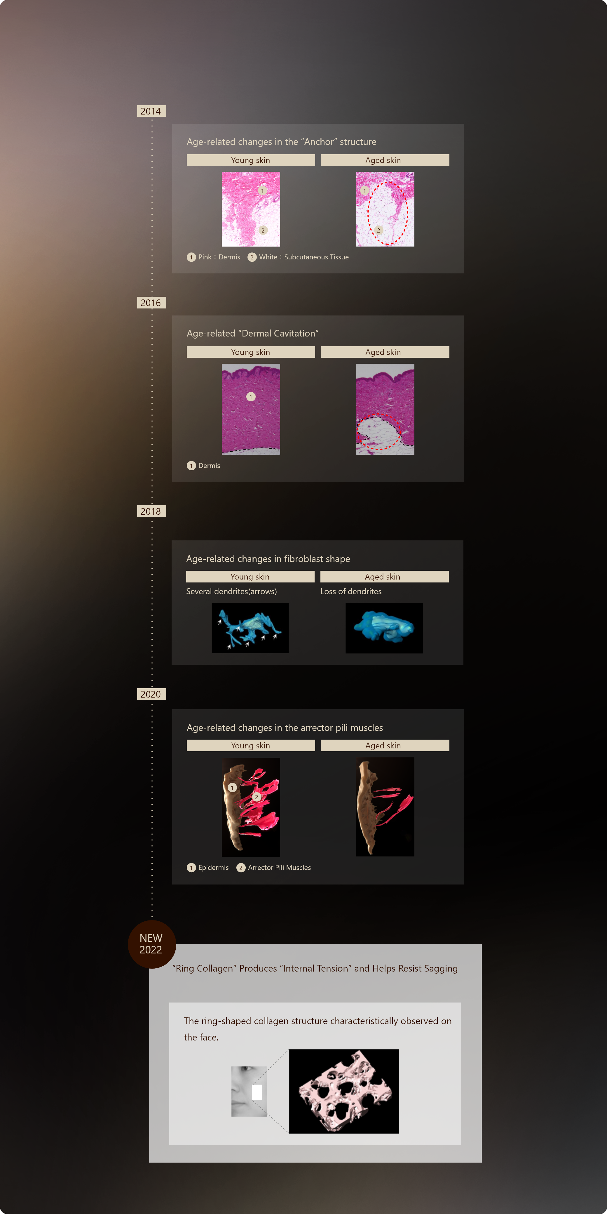 COLLAGenerator™
